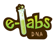 the DNA e-Labs Logo