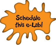 Schedule this e-Lab